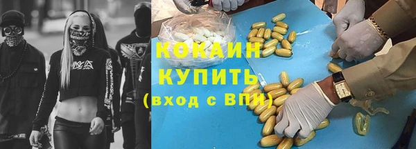 стаф Карпинск