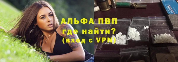 стаф Карпинск
