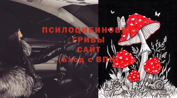 стаф Карпинск