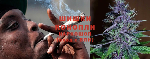 стаф Карпинск
