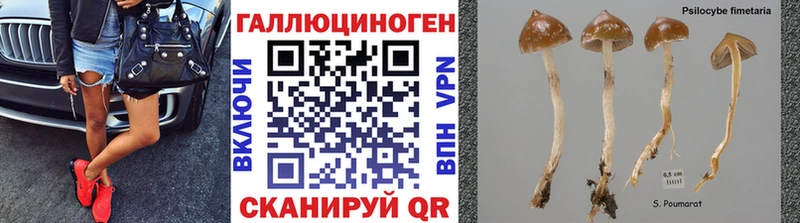Псилоцибиновые грибы MAGIC MUSHROOMS Купить закладки Кумертау